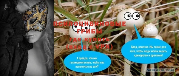 PSILOCYBIN Бронницы