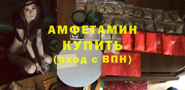 a pvp Бородино