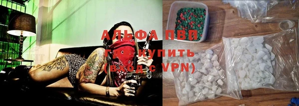 PSILOCYBIN Бронницы