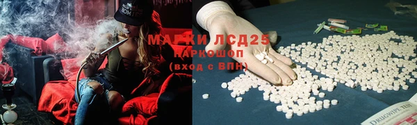 PSILOCYBIN Бронницы