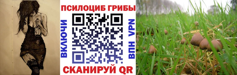 Псилоцибиновые грибы ЛСД  купить наркоту  Качканар 